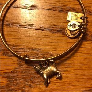 Alex & Ani Cat Bracelet